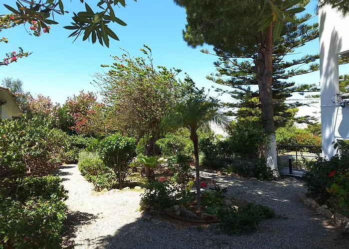 George Beach Studios